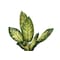 Monarch Specialties Artificial Plant, 47" Tall, Evergreen Tree, Indoor, Faux, Fake, Floor, Greenery, Potted, Real Touch I 9535 - alternate 2